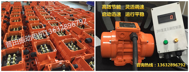 普田直流無刷振動電機(jī)