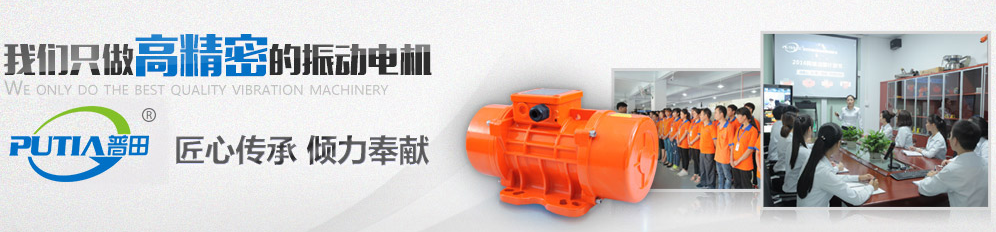 普田耐低溫振動電機(jī)